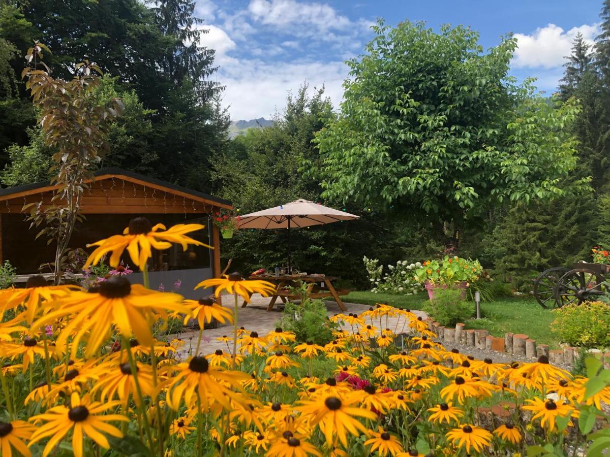 Le Moulin Des Olirics Villa Саланш Екстериор снимка