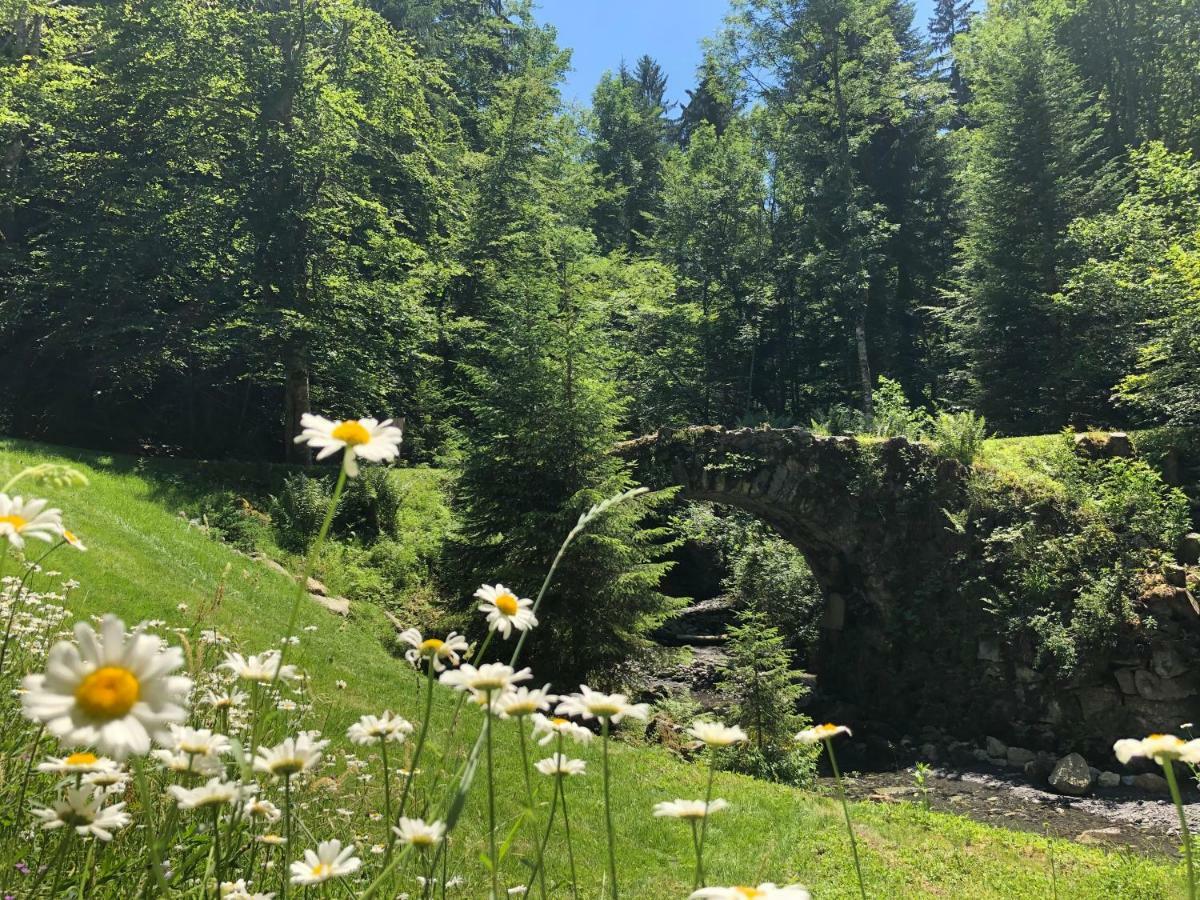Le Moulin Des Olirics Villa Саланш Екстериор снимка